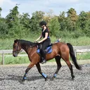 @x_alyn_x