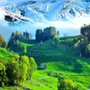 @naturevibes689