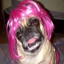 @paisleykimball