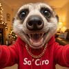 ciroilsuricato
