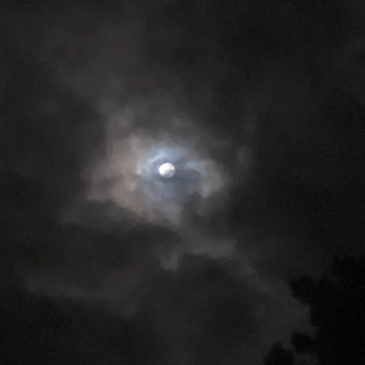 @night_sky164
