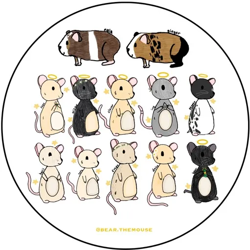 bear.themouse