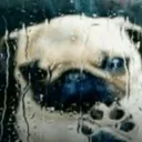 @drowningunicorn