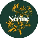 @nerine_creative
