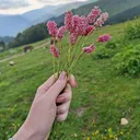 @__inna_208