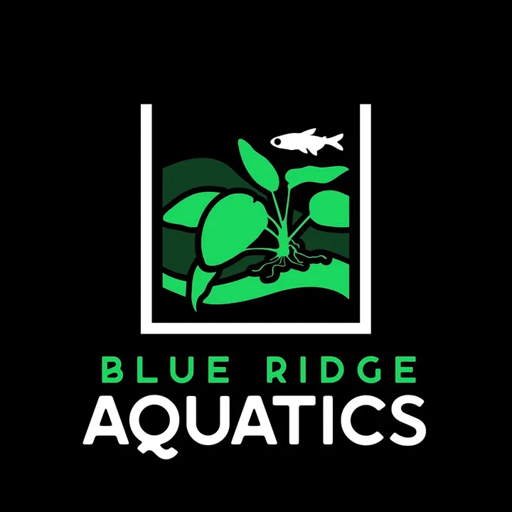 blueridgeaquatics