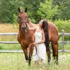 taurusreins