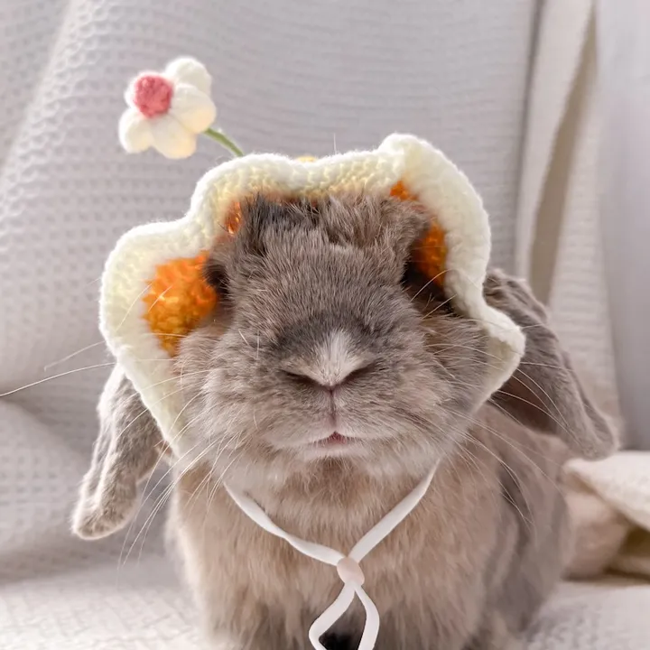 bunstoppablebun