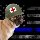 @medic_pug_man