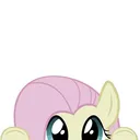 @fluttershy_enthusiast0_0