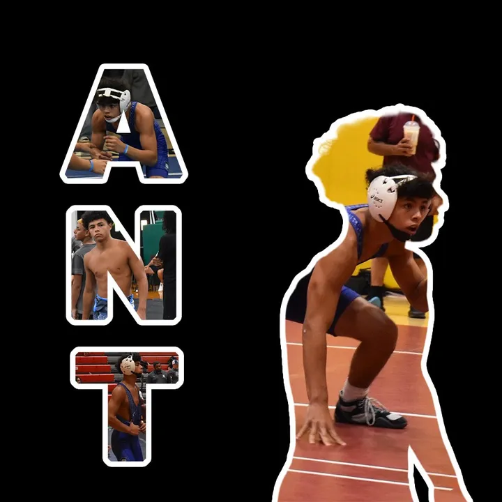 @ant.wrestles11