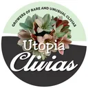 @utopiaclivias