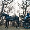 dartmoorcarriages