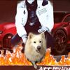 babajaga_stipenovic
