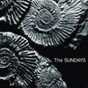 thesundayslover99