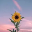 @gudong_047