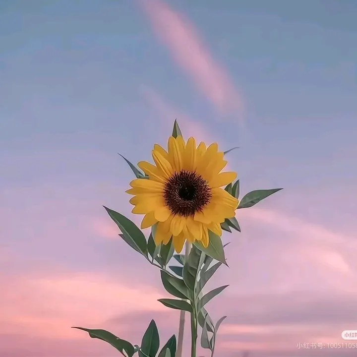 @gudong_047
