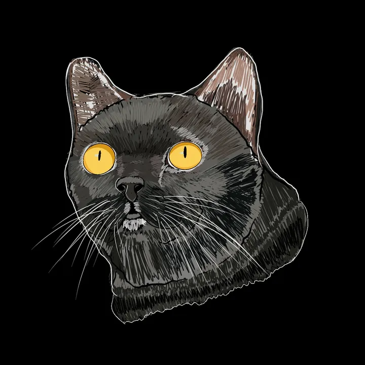 marantcathouse
