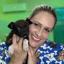 @veterinaria.sabri