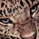 @ju5tgtcrakdby_a5thr33