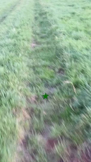 TikTok video thumbnail by prazermiguel_