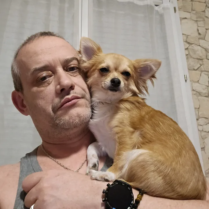 @lateamchihuahua