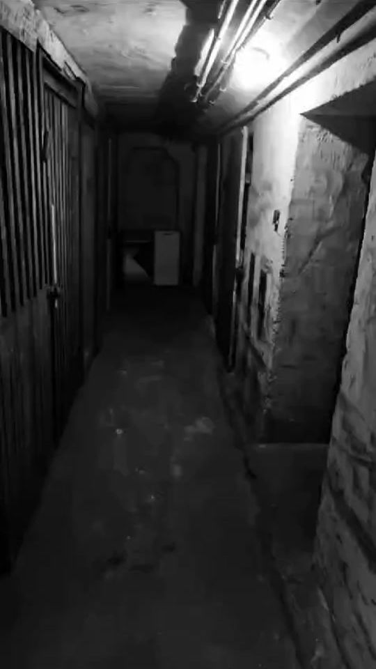 TikTok video thumbnail by papi0090