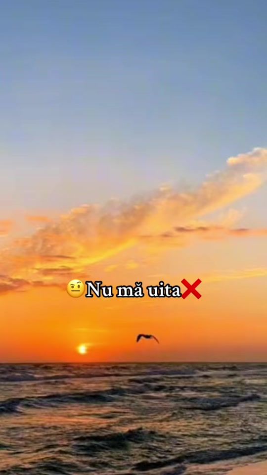 TikTok video thumbnail by muzicaa6
