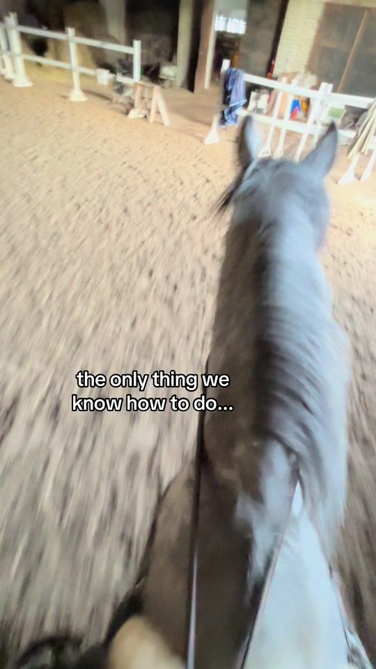 TikTok video thumbnail by parkerluvvs