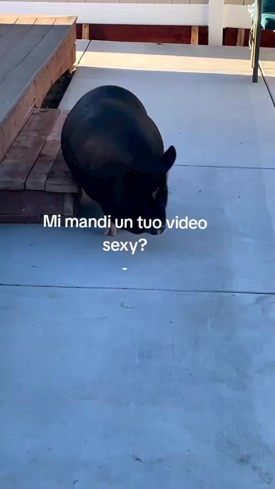 TikTok video thumbnail by yettastyle_2022