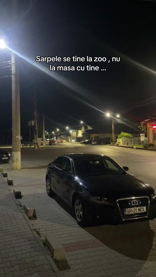 TikTok video thumbnail by madalin.21mdl