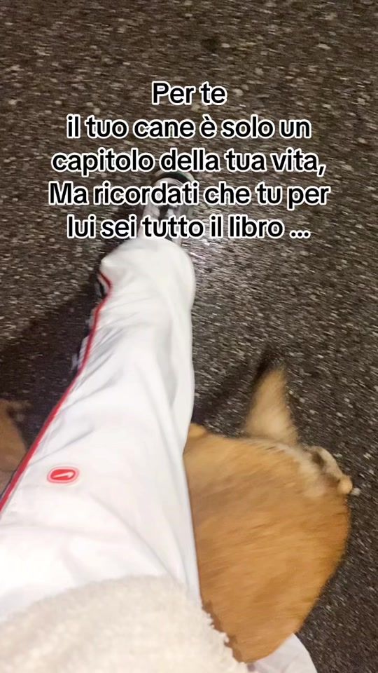 TikTok video thumbnail by omarinhio.2rose