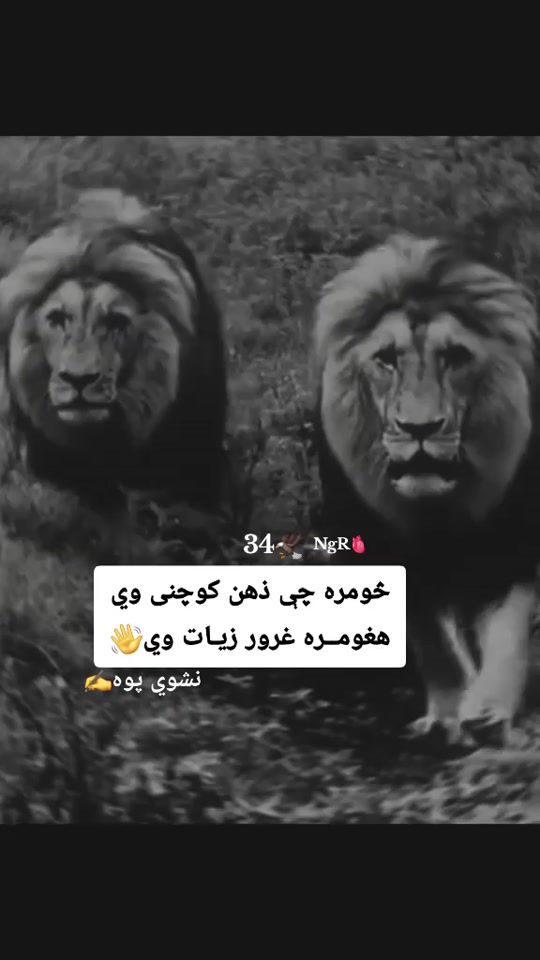 TikTok video thumbnail by afgworld0