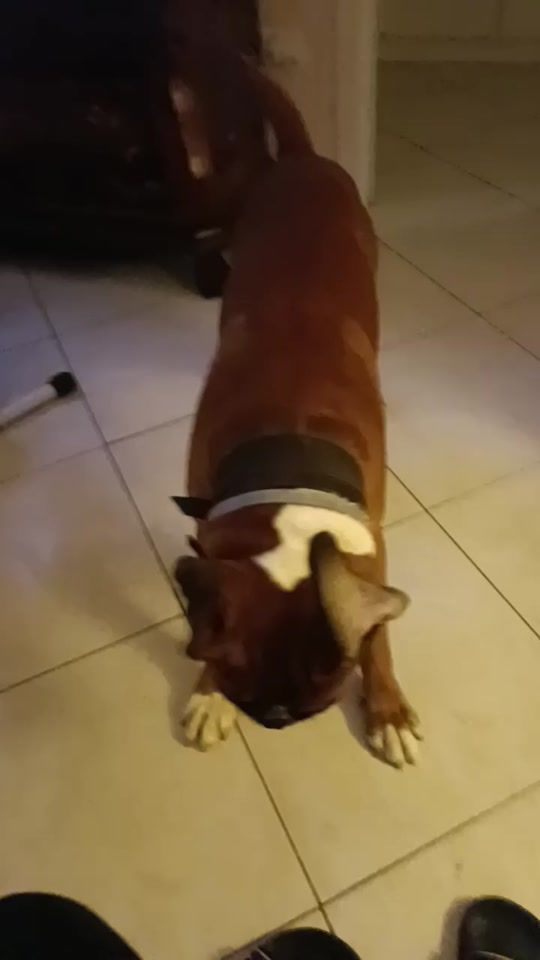 TikTok video thumbnail by siriusdreher.bari