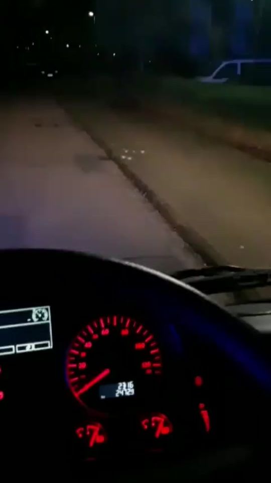 TikTok video thumbnail by markkemnitz
