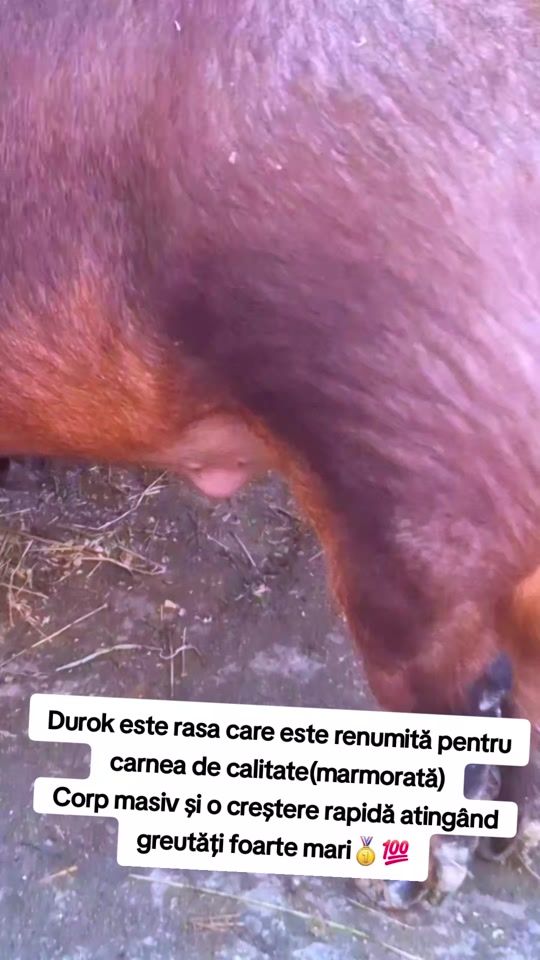 TikTok video thumbnail by alexbibi14