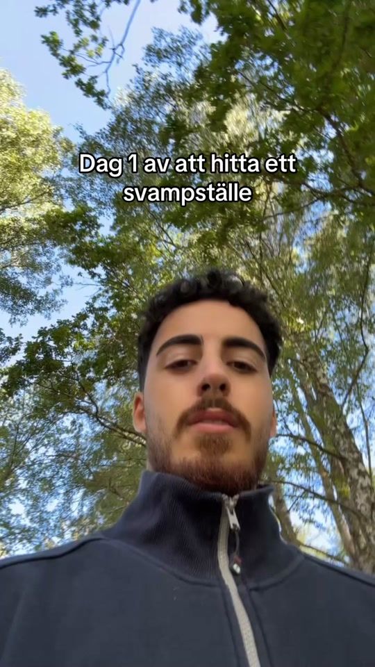 TikTok video thumbnail by marcus.haidari