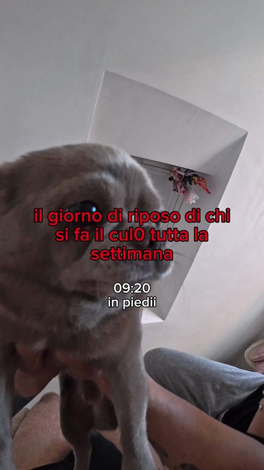 TikTok video thumbnail by xcrtox