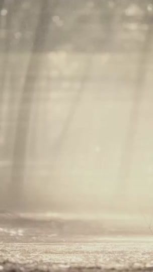 TikTok video thumbnail by harrykang212