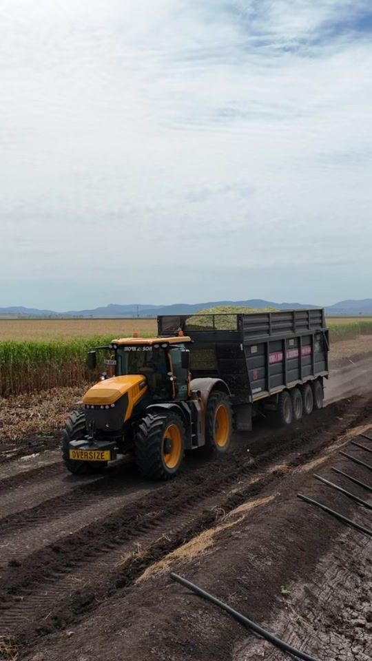 TikTok video thumbnail by djnugent