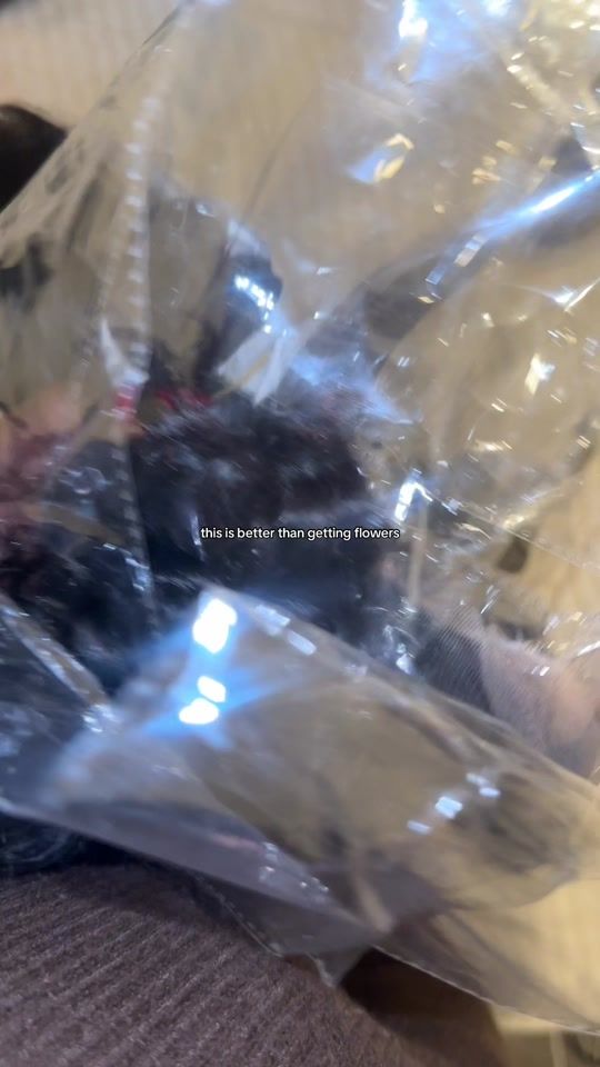 TikTok video thumbnail by addybaybee