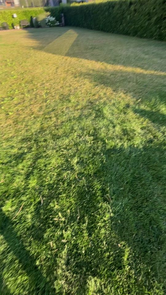 TikTok video thumbnail by iamaulixne