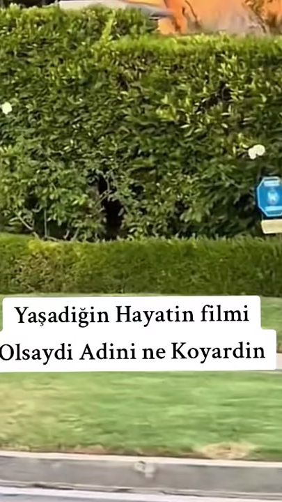 TikTok video thumbnail by _bir_deli_adam_