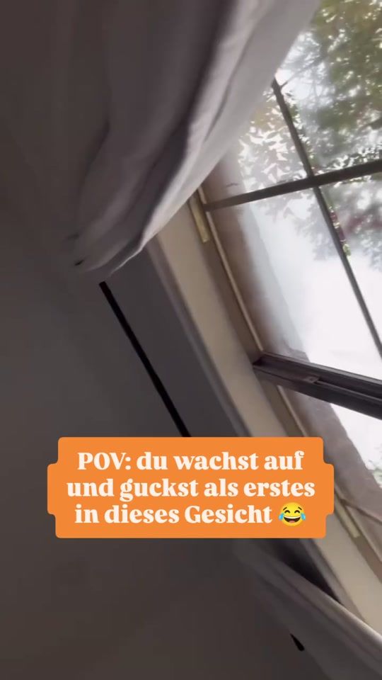 TikTok video thumbnail by paawy.de