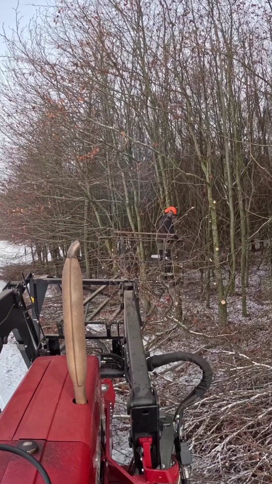 TikTok video thumbnail by hansbayern