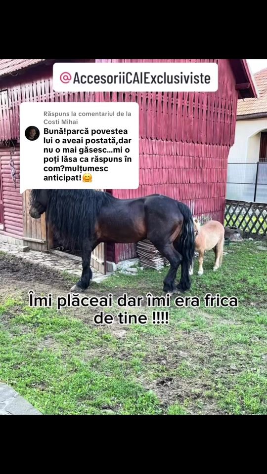 TikTok video thumbnail by lucaciroxanaadelina