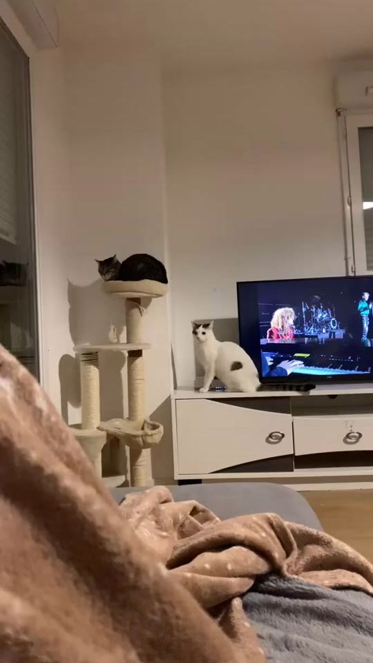 TikTok video thumbnail by lesmimis74
