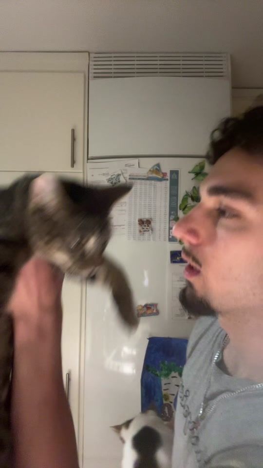 TikTok video thumbnail by dj.saaodi