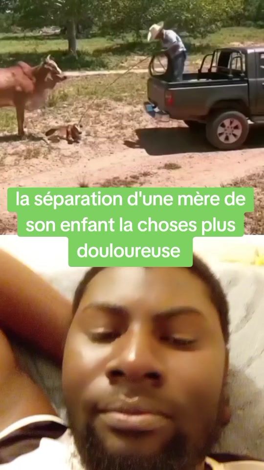 TikTok video thumbnail by laminemacalou8