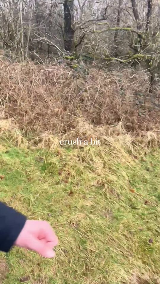 TikTok video thumbnail by fozzie_d
